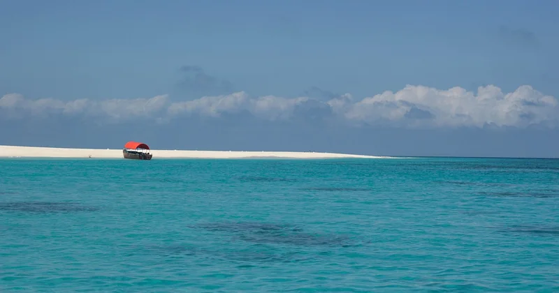 Le jonc de mer est-il plus adapté que le sisal sur du carrelage ?