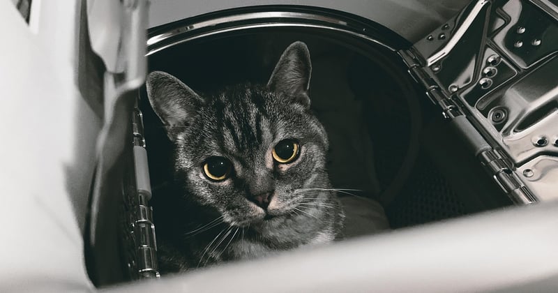 Sèche-linge pompe à chaleur Saba avis : le vrai verdict