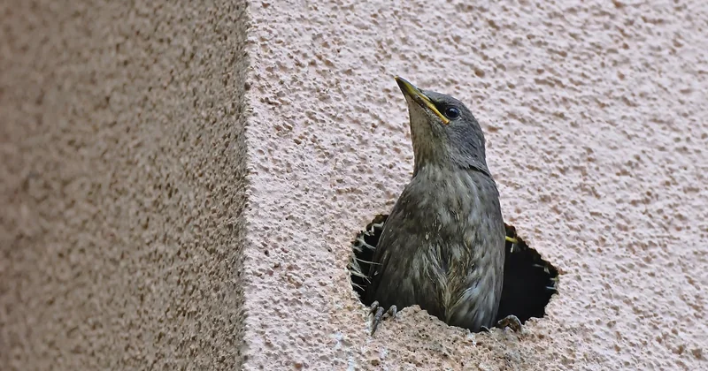 Comparatif : quelle solution pour fermer un escalier ouvert ?