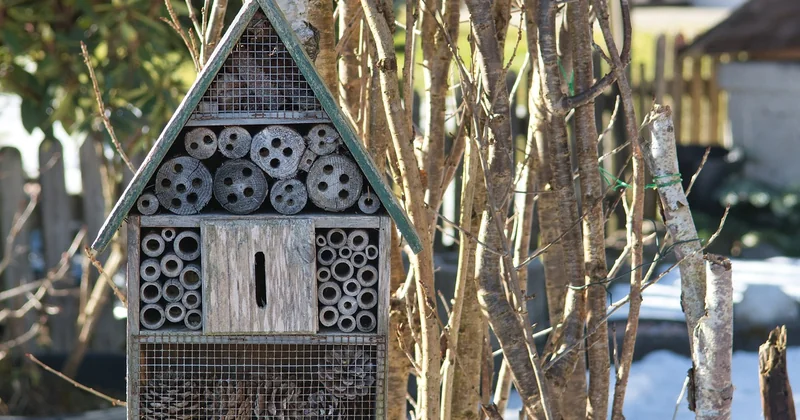 Les 5 matériaux maison écologique qui tiennent vraiment la route