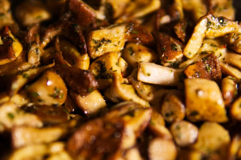 Cuisiner le bolet jaune : les erreurs que j’ai faites