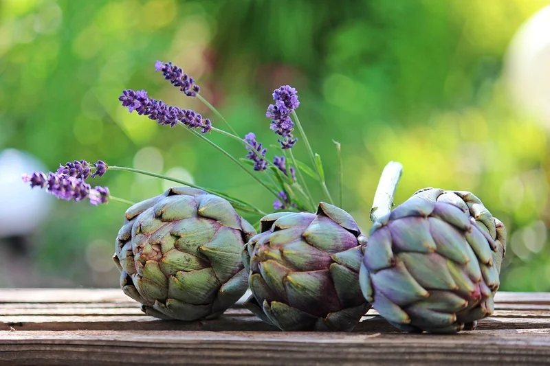 Les matériaux clés pour une déco jardin vintage authentique