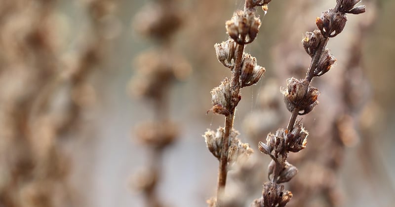 Bouillotte sèche sans micro-ondes : 5 méthodes simples pour la chauffer